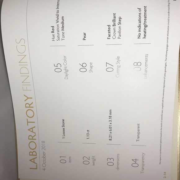 Mogok Burma Ruby by Kat Florence with appraisal - Picture 7 of 9